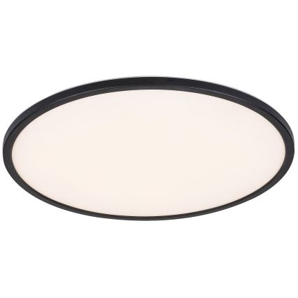 Rabalux - Светодиодный потолочный светильник с регулированием яркости LED/22W/230V 3000K 42 см