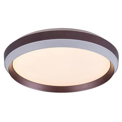 Rabalux - Стельовий LED світильник LED/24W/230V 3000K