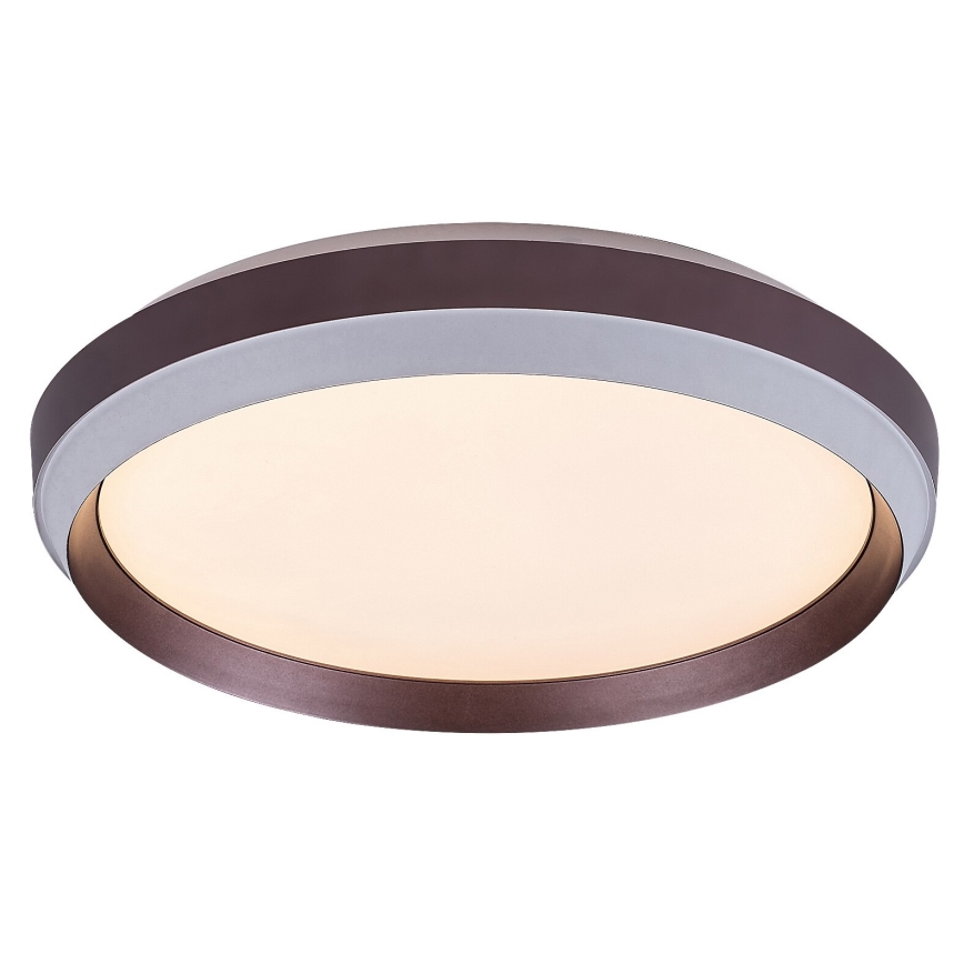Rabalux - Стельовий LED світильник LED/24W/230V 3000K