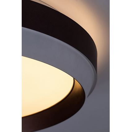 Rabalux - Стельовий LED світильник LED/24W/230V 3000K