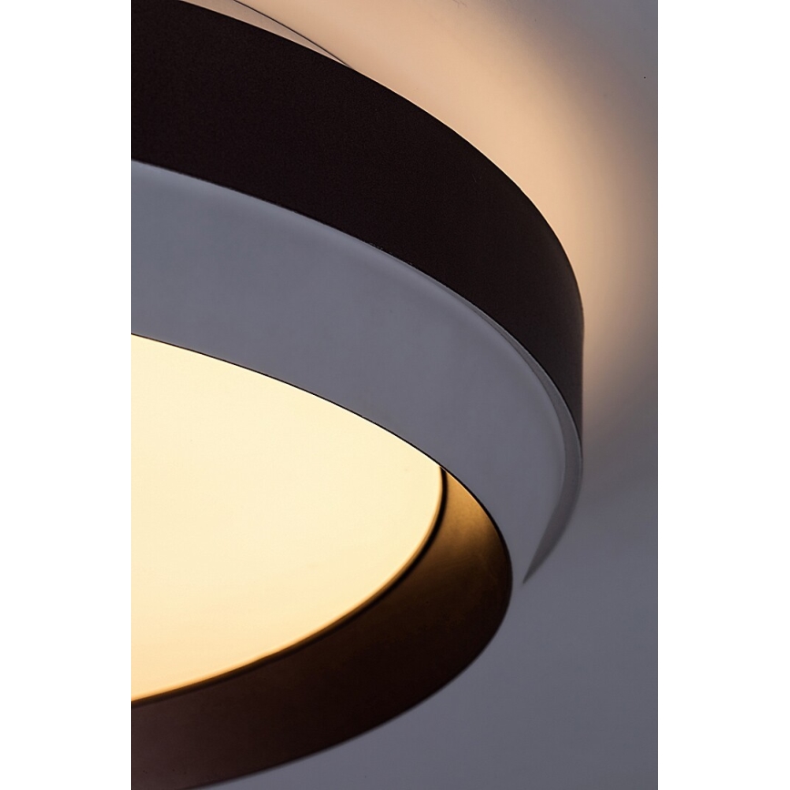 Rabalux - Стельовий LED світильник LED/24W/230V 3000K
