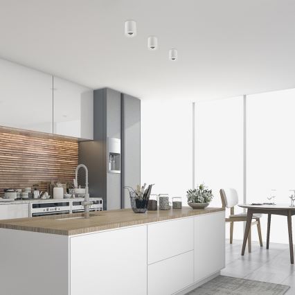 Rabalux - Точечный светильник 1xGU10/25W/230V круглый белый