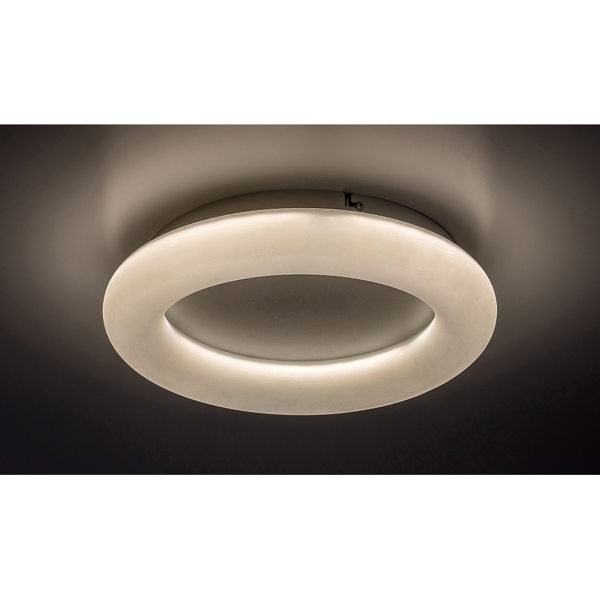 Rabalux - Светодиодный потолочный светильник LED/24W/230V 4000K диаметр 33 см белый