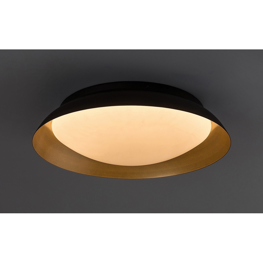 Rabalux - Светодиодный потолочный светильник LED/24W/230V 3000K диаметр 40 см