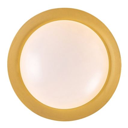 Rabalux - Светодиодный потолочный светильник LED/24W/230V 3000K диаметр 40 см