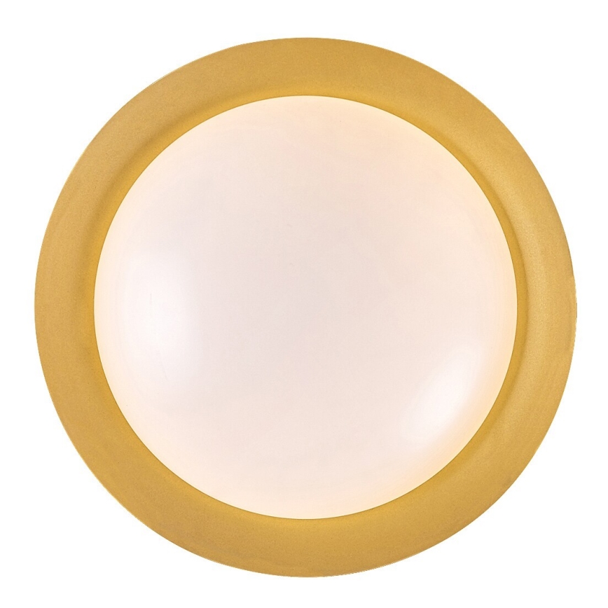 Rabalux - Светодиодный потолочный светильник LED/24W/230V 3000K диаметр 40 см