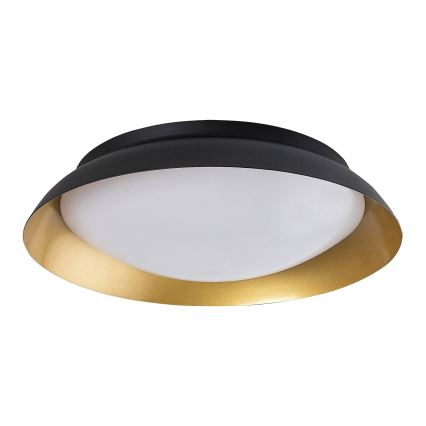 Rabalux - Светодиодный потолочный светильник LED/24W/230V 3000K диаметр 40 см