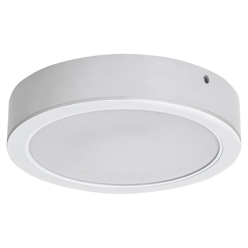 Rabalux - Светодиодный потолочный светильник LED/24W/230V 4000K диаметр 22 см белый