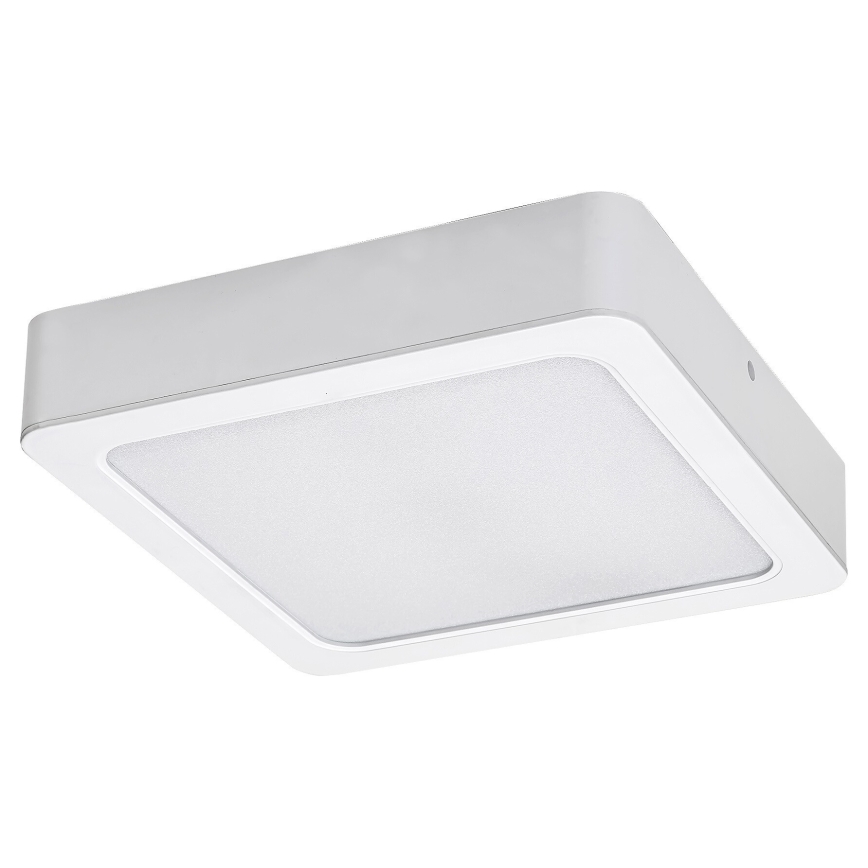 Rabalux - Стельовий LED світильник LED/15W/230V 4000K 16x16 см білий