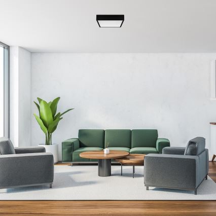 Rabalux - Стельовий LED світильник LED/22W/230V 3000/4000/6000K 21x21 см чорний
