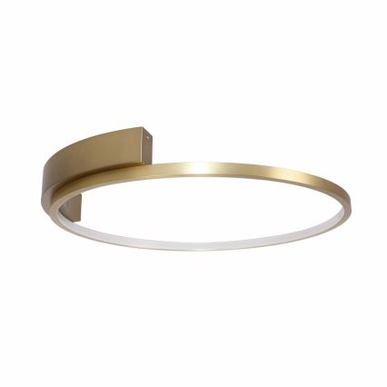 Rabalux - Стельовий LED світильник LED/23W/230V