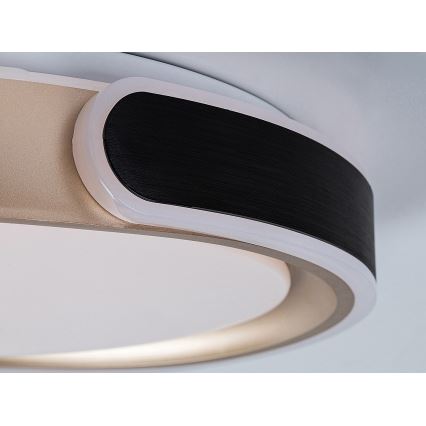 Rabalux - Светодиодный потолочный светильник с регулированием яркости LED/48W/230V 3000-6500K + дистанционное управление