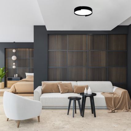 Rabalux - Светодиодный потолочный светильник с регулированием яркости LED/24W/230V 3000-6500K + дистанционное управление