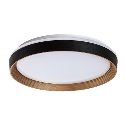 Rabalux - Світлодіодний стельовий світильник з регулюванням яскравості LED/48W/230V 3000-6500K + пульт дистанційного керування