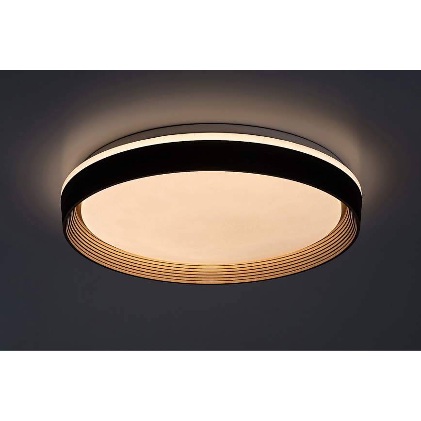 Rabalux - Светодиодный потолочный светильник с регулированием яркости LED/48W/230V 3000-6500K + дистанционное управление