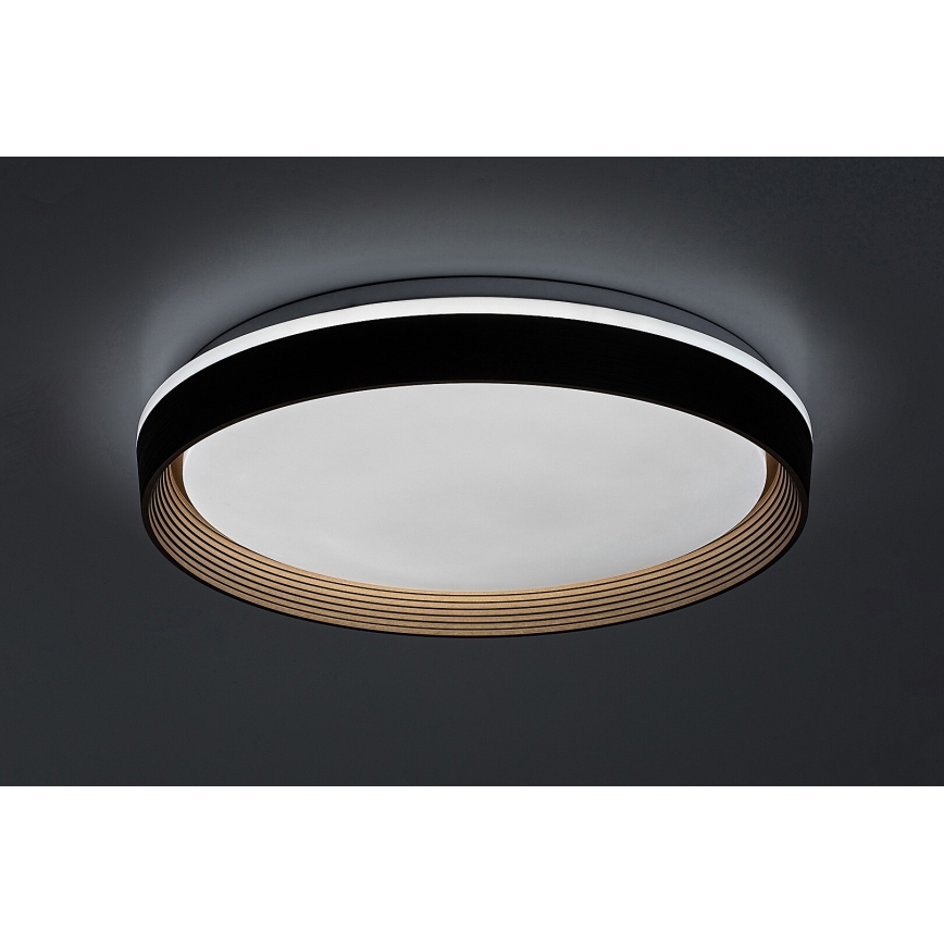 Rabalux - Светодиодный потолочный светильник с регулированием яркости LED/48W/230V 3000-6500K + дистанционное управление