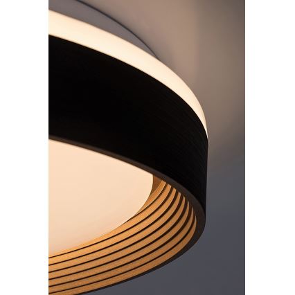 Rabalux - Светодиодный потолочный светильник с регулированием яркости LED/48W/230V 3000-6500K + дистанционное управление