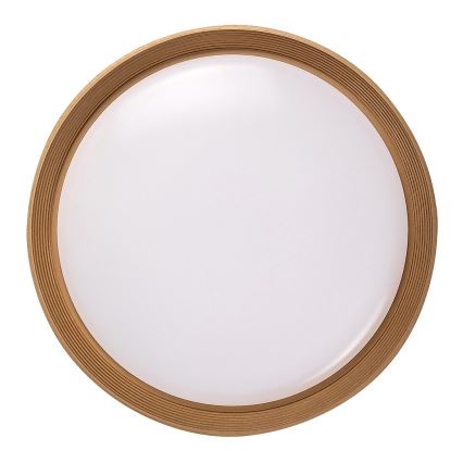 Rabalux - Светодиодный потолочный светильник с регулированием яркости LED/48W/230V 3000-6500K + дистанционное управление