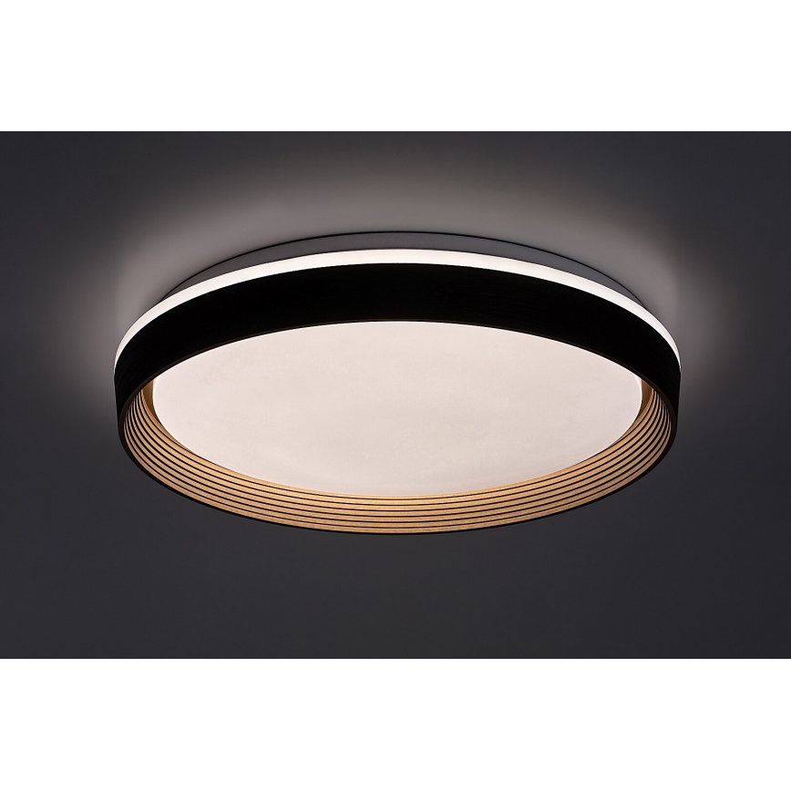 Rabalux - Светодиодный потолочный светильник с регулированием яркости LED/48W/230V 3000-6500K + дистанционное управление