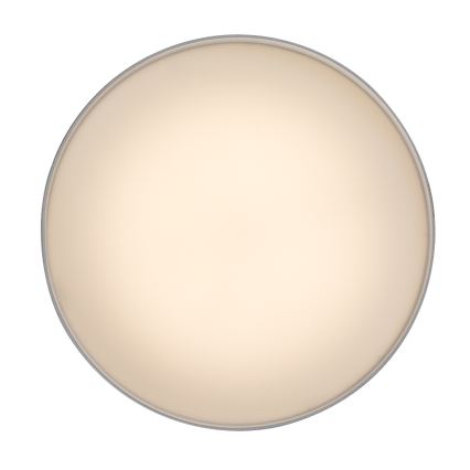 Rabalux - LED-стельовий світильник LED/24W/230V 3000K білий діаметр 14 см