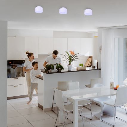Rabalux - Стельовий LED світильник LED/24W/230V 3000K білий