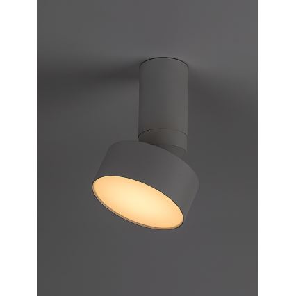 Rabalux - LED стельовий світильник LED/10 Вт/230 В 3000K білий діаметр 11 см
