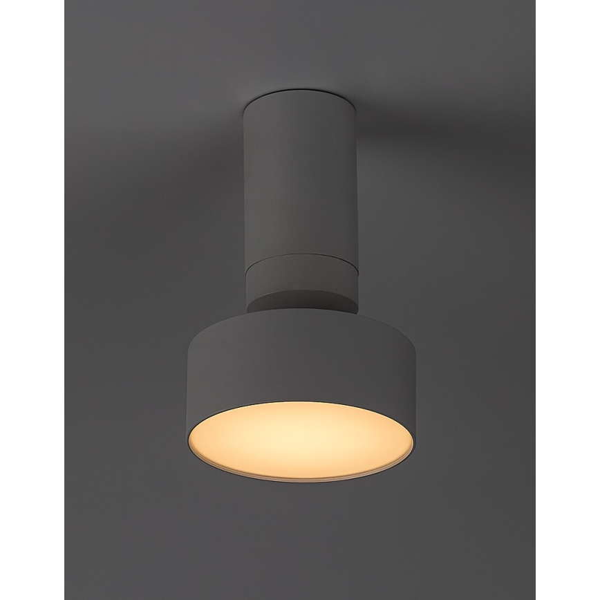 Rabalux - LED стельовий світильник LED/10 Вт/230 В 3000K білий діаметр 11 см