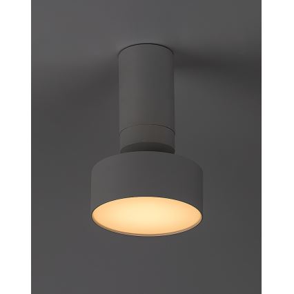 Rabalux - Стельовий LED світильник LED/10W/230V 3000K білий