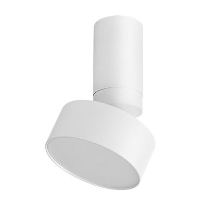 Rabalux - Стельовий LED світильник LED/10W/230V 3000K білий