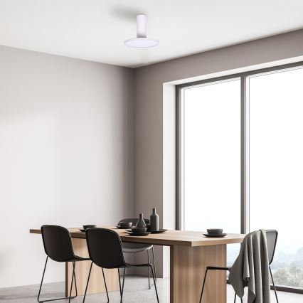 Rabalux - LED стельовий світильник LED/20W/230V 3000K білий, діаметр 20 см