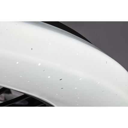 Rabalux - Светодиодный регулируемый потолочный светильник с вентилятором LED/48W/230V 3000-6500K + дистанционное управление
