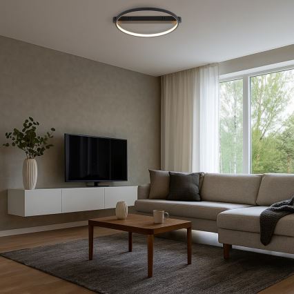 Rabalux - светодиодный потолочный светильник LED/45W/230V 3000K 50x55 cm черный