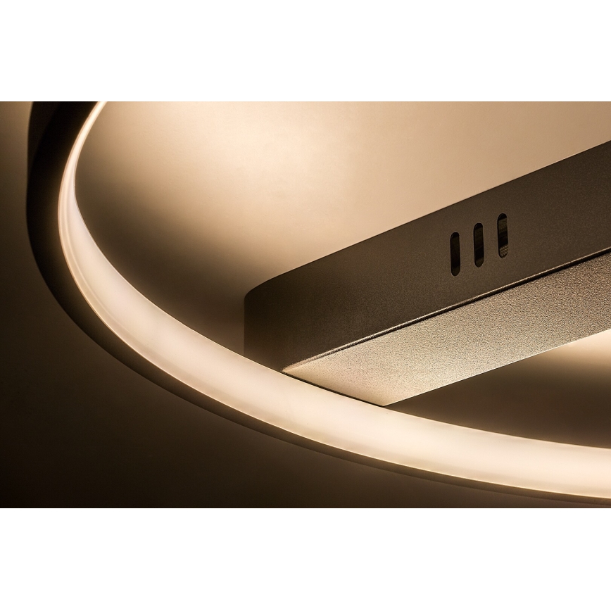 Rabalux - светодиодный потолочный светильник LED/45W/230V 3000K 50x55 cm черный