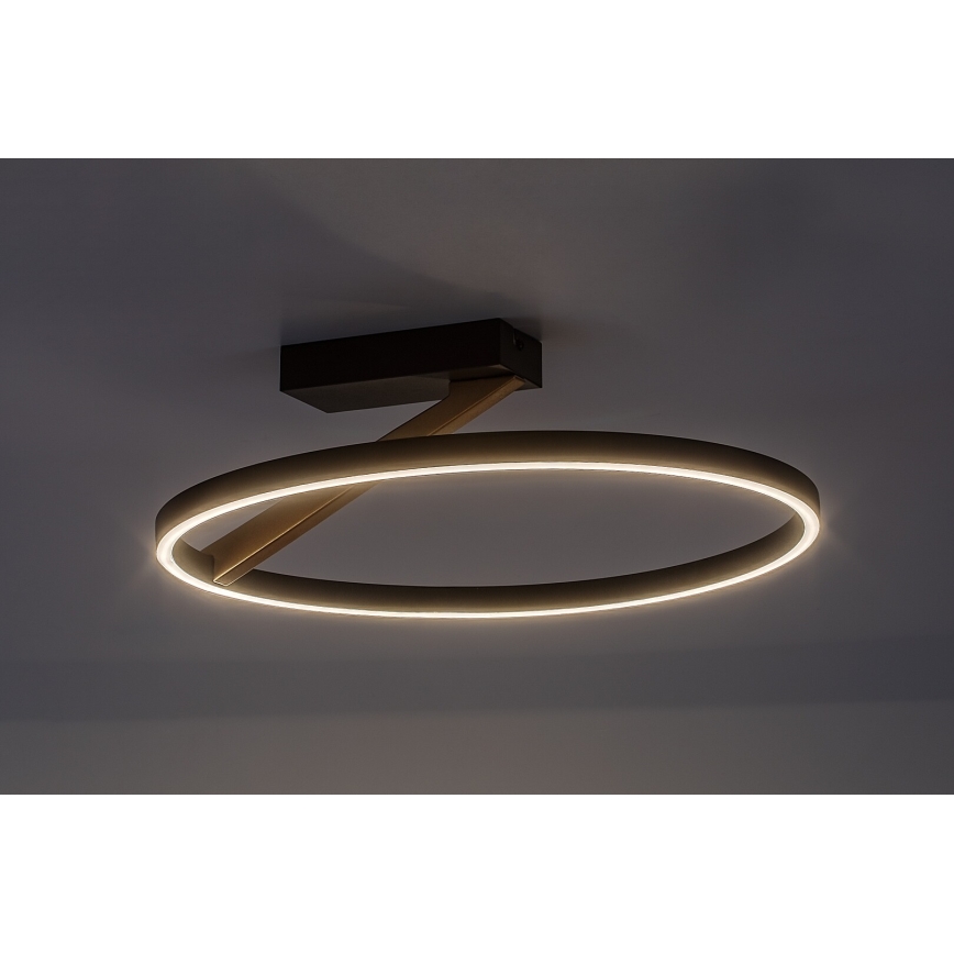 Rabalux - LED стельовий світильник LED/24 Вт/230 В 3000 К діам. 45 см