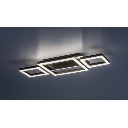 Rabalux - Светодиодный потолочный светильник LED/24W/230V 4000K