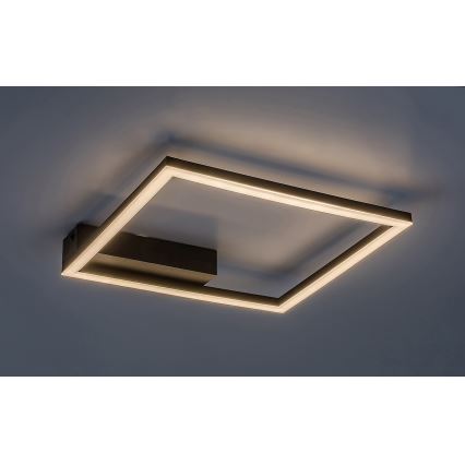 Rabalux - Стельовий LED світильник LED/24W/230V 3000K