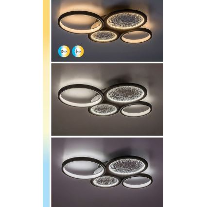 Rabalux - Світлодіодний стельовий світильник з регулюванням яскравості LED/40W/230V 3000-6500K + пульт дистанційного керування