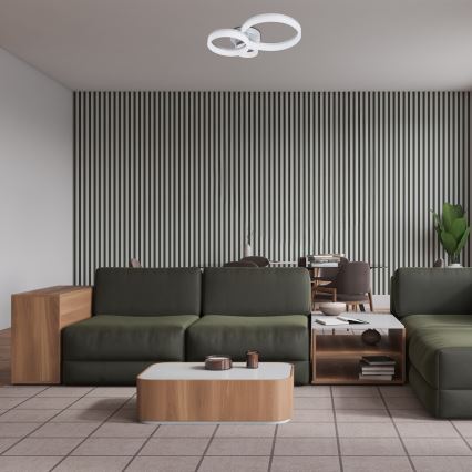 Rabalux - LED стельовий світильник LED/24W/230V 3000/4000/6500K 38x51 cm матовий хром