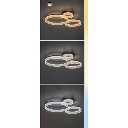 Rabalux - Стельовий LED світильник LED/24W/230V 3000/4000/6500K золотий