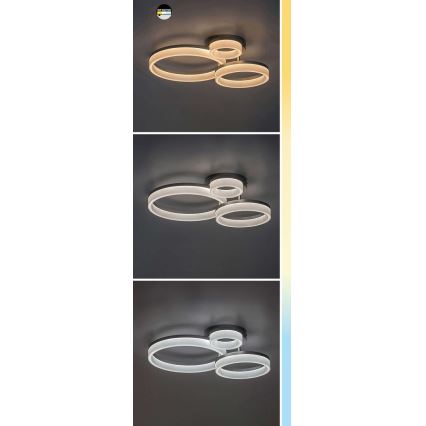 Rabalux - Светодиодный потолочный светильник LED/24W/230V 3000/4000/6500K черный 38x51 см