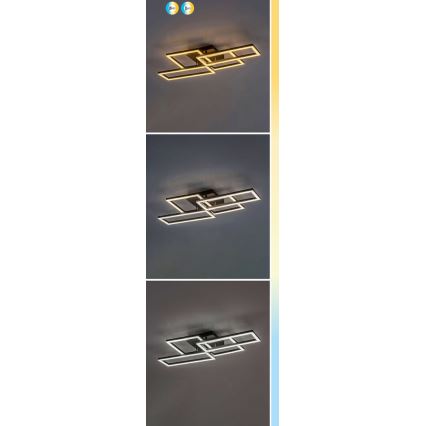 Rabalux - стельовий світлодіодний світильник з регулюванням яскравості LED/40W/230V 3000-6500K 35x70 cm + пульт дистанційного керування