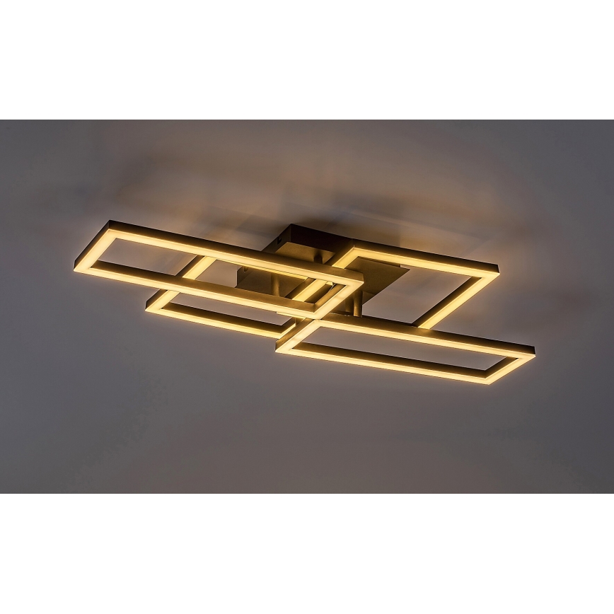 Rabalux - Светодиодный потолочный светильник с регулированием яркости LED/40W/230V 3000-6500K + дистанционное управление