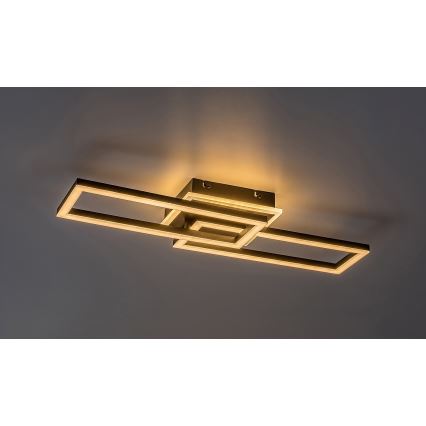 Rabalux - Світлодіодний стельовий світильник з регулюванням яскравості LED/30W/230V 3000-6500K + пульт дистанційного керування