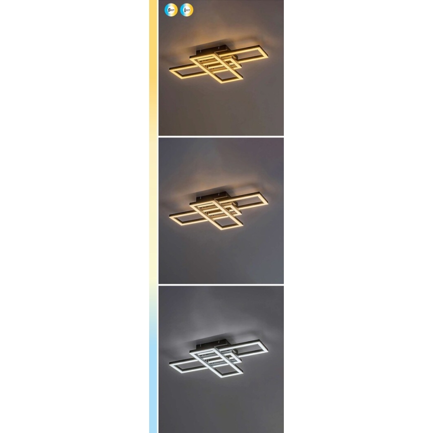 Rabalux - Димований стельовий світильник LED/40W/230V 3000-6500K + пульт дистанційного керування 35x50 см