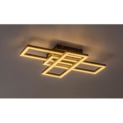 Rabalux - Светодиодный потолочный светильник с регулированием яркости LED/40W/230V 3000-6500K + дистанционное управление