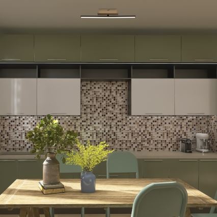 Rabalux - Стельовий LED світильник LED/8W/230V 4000K