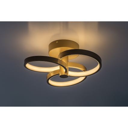 Rabalux - Диммируемый потолочный светильник LED, 32 Вт, 230 В, 3000–6500 К, Ø 31 см, бежевый + пульт дистанционного управления