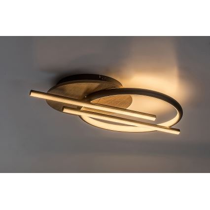 Rabalux - Светодиодный потолочный светильник LED/40W/230V 3000/4000/6500K