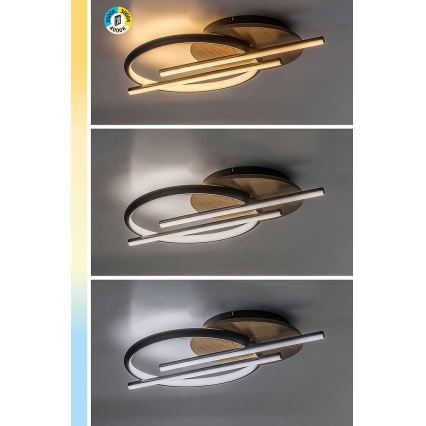 Rabalux - Светодиодный потолочный светильник LED/40W/230V 3000/4000/6500K