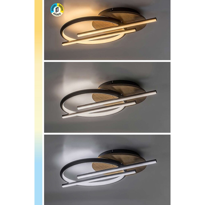 Rabalux - Светодиодный потолочный светильник LED/40W/230V 3000/4000/6500K